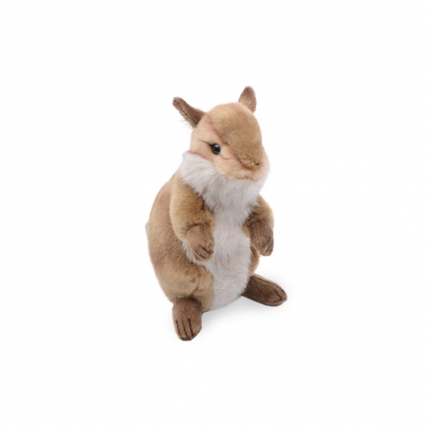 [한사토이] 3090 다람쥐 동물인형/16cm.H